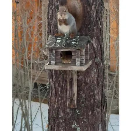 Maya, For Vacation Holidays Jaala