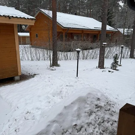 Maya, For Vacation Holidays *