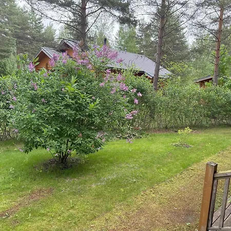 Maya, For Vacation Holidays