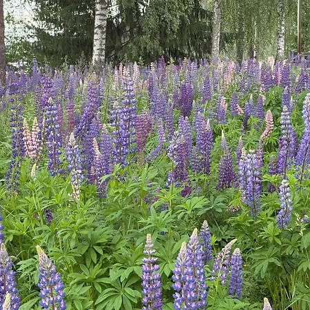 Chalet Maya, For Vacation Holidays *