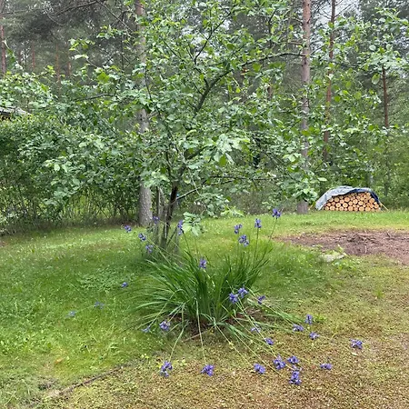 Maya, For Vacation Holidays Chalet Jaala