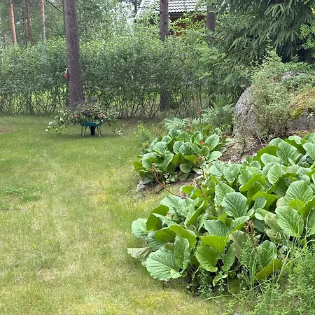 Chalet Maya, For Vacation Holidays Jaala