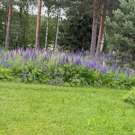 Maya, For Vacation Holidays * Jaala