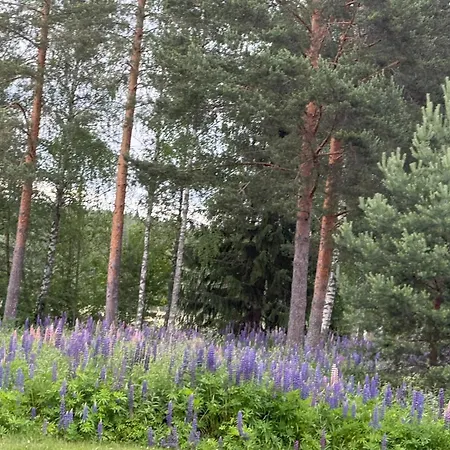 Maya, For Vacation Holidays Σαλέ *