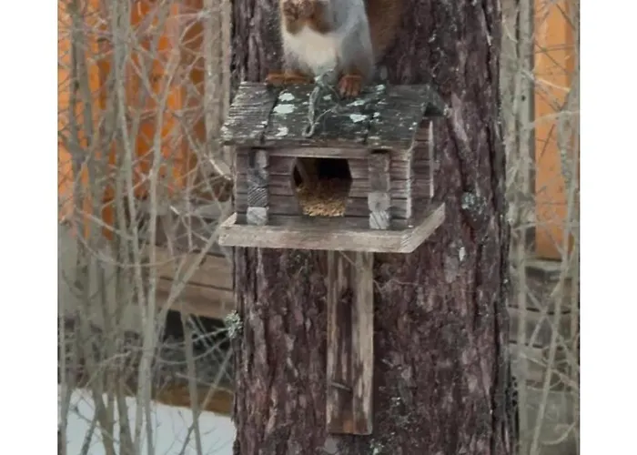 Maya, For Vacation Holidays Jaala