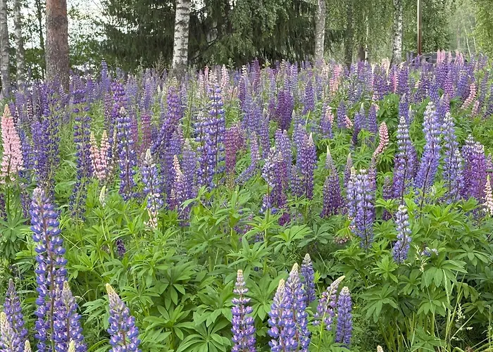 Chalet Maya, For Vacation Holidays *