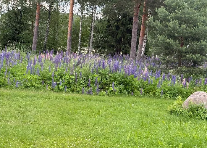 Maya, For Vacation Holidays * Jaala