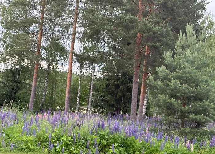 Maya, For Vacation Holidays シャレー *